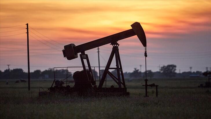 ABD petrol stokları azaldı