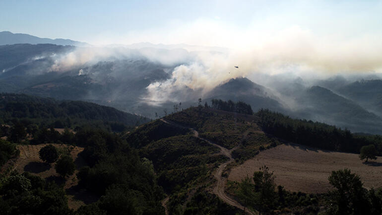 Adana'daki yangın 3'üncü günde kontrol altına alındı: 800 ev tahliye edildi, 200 hektardan fazla ormanlık alan kül oldu