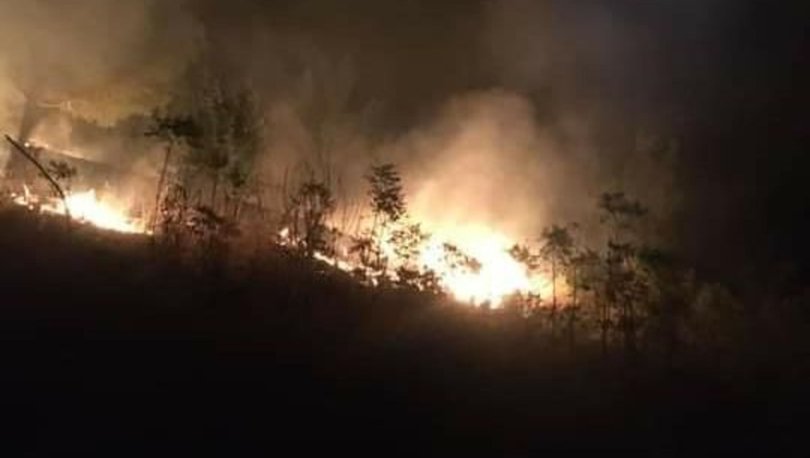 Adanda'daki orman yangını 10 saatin ardından kontrol altına alındı