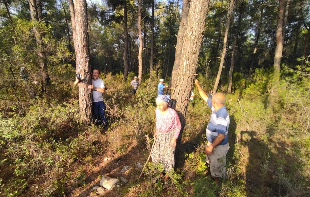 Akbelen Ormanı'nda direniş sürüyor: Köylüler, kesilmesini engellemek için ağaçlara sarıldı