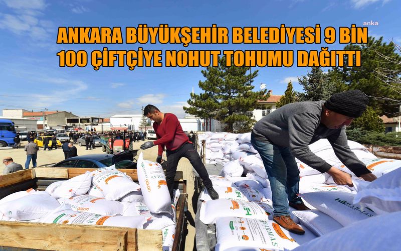 Ankara Büyükşehir Belediyesi 9 bin 100 çiftçiye 2 milyon 500 bin kilogram nohut tohumu dağıttı