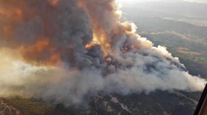 Ankara'da orman yangını: Müdahale sürüyor
