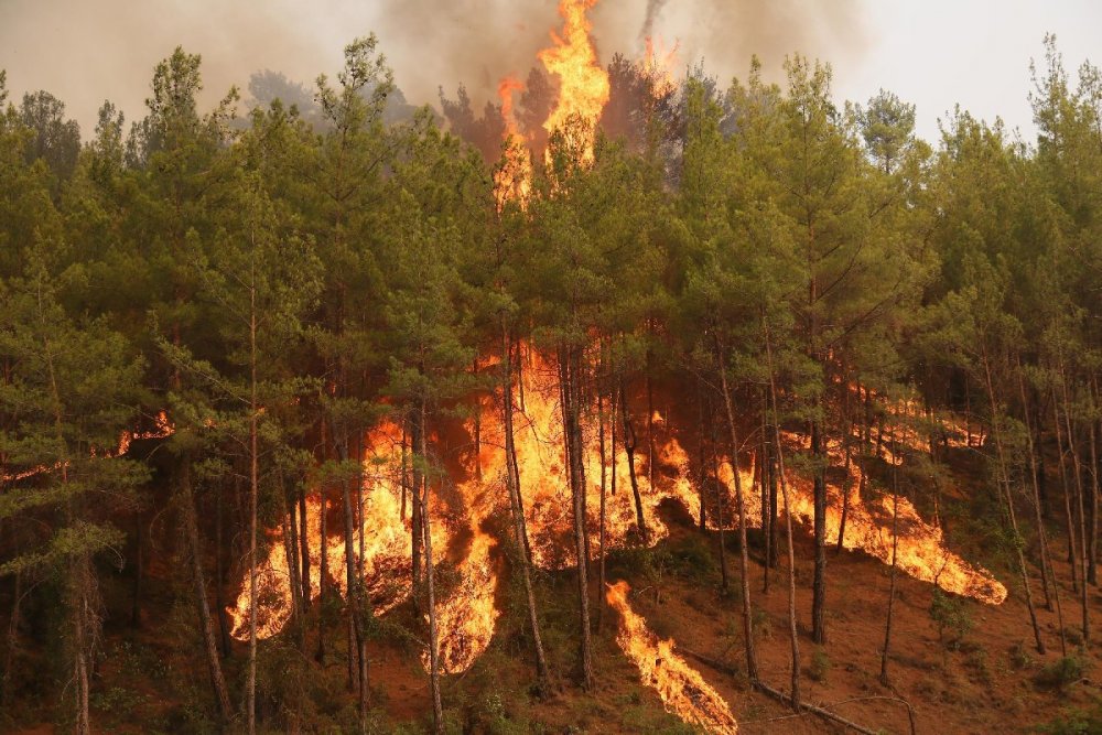 Antalya Akseki'deki orman yangınıyla ilgili bir kişi tutuklandı