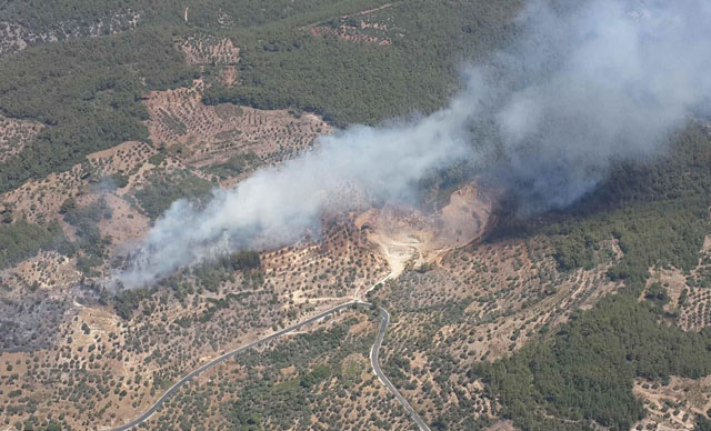 Antalya Aksu'da orman yangını: 1.5 hektarlık alan zarar gördü