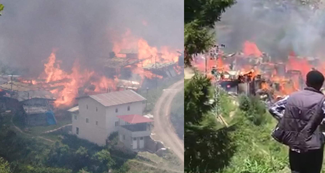Artvin'de köy evleri yanıyor!