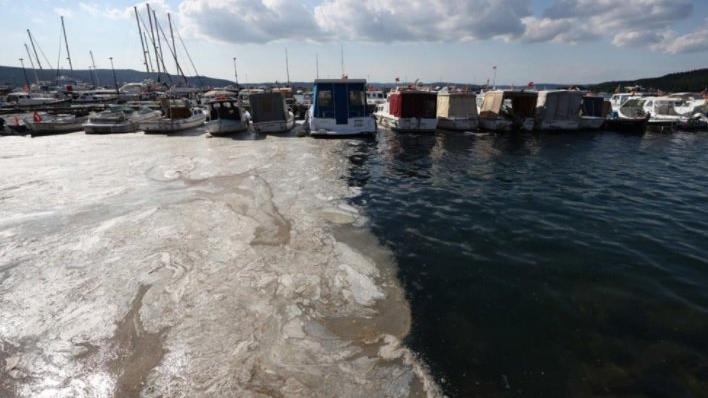 Bakan Kurum: 5 bin 738 metreküp müsilajı Marmara'dan temizledik
