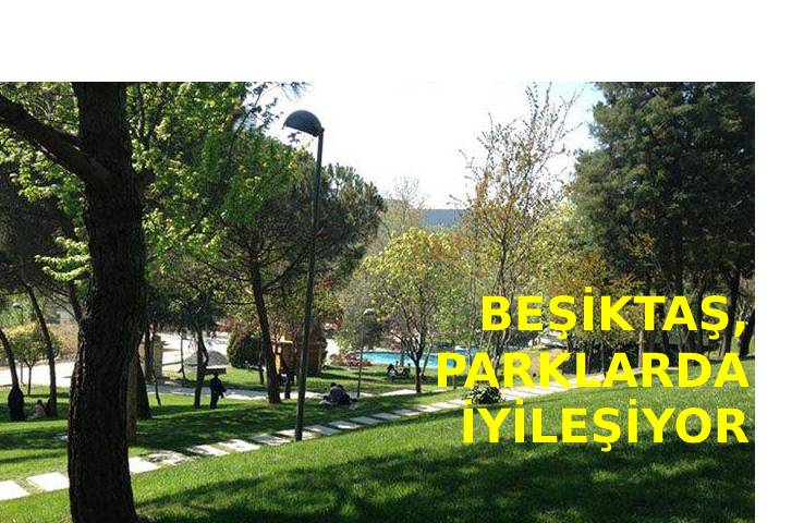 Beşiktaş, parklarda iyileşiyor