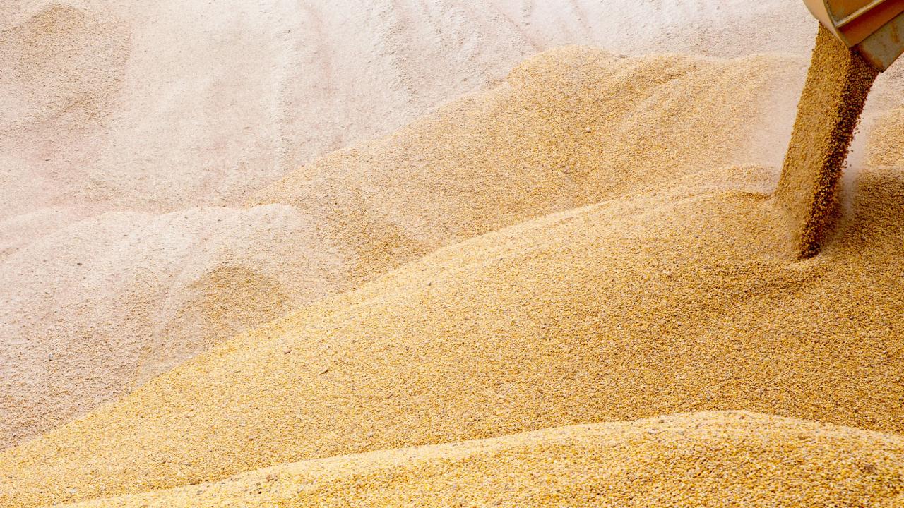 Buğday ve arpa alım fiyatları maliyetlerin altında: Çiftçiyi tarlaya küstürecekler