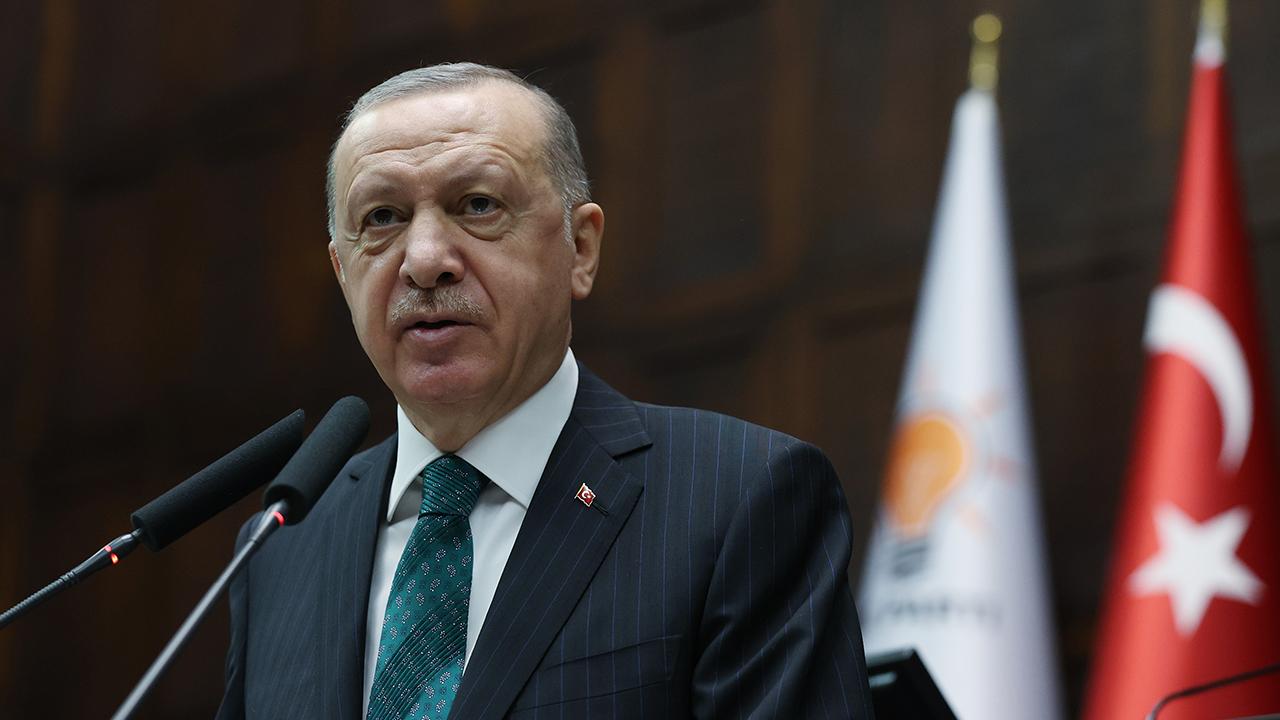 Cumhurbaşkanı Erdoğan'dan orman yangınlarına ilişkin açıklama
