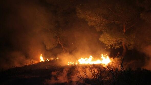 Fethiye'de orman yangını: 1 hektar alan zarar gördü
