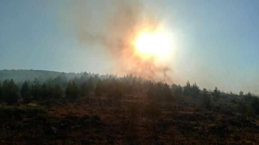 Gaziantep'te orman yangını: 2 hektarlık alan zarar gördü