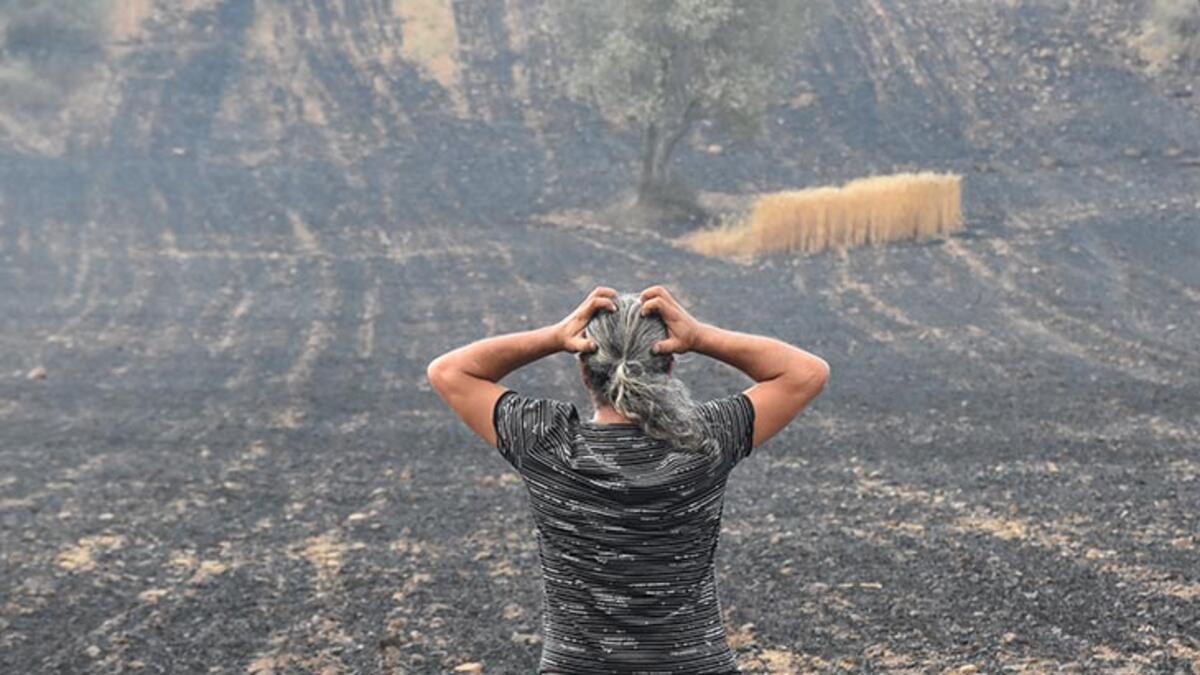 Gelibolu'da tarlaları yanan köylülerin üzüntüsü: Emeklerimize yazık oldu