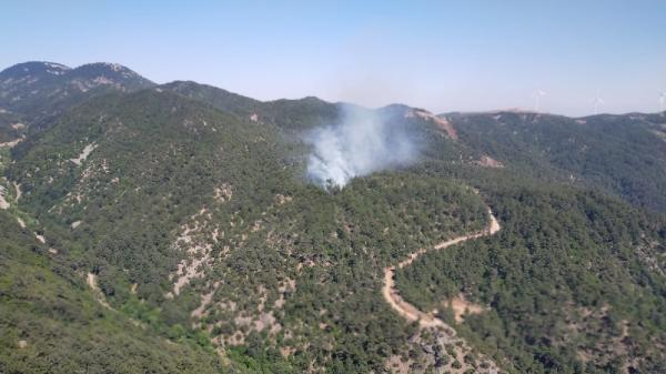 Hatay’da orman yangını: 3 hektar alan kül oldu