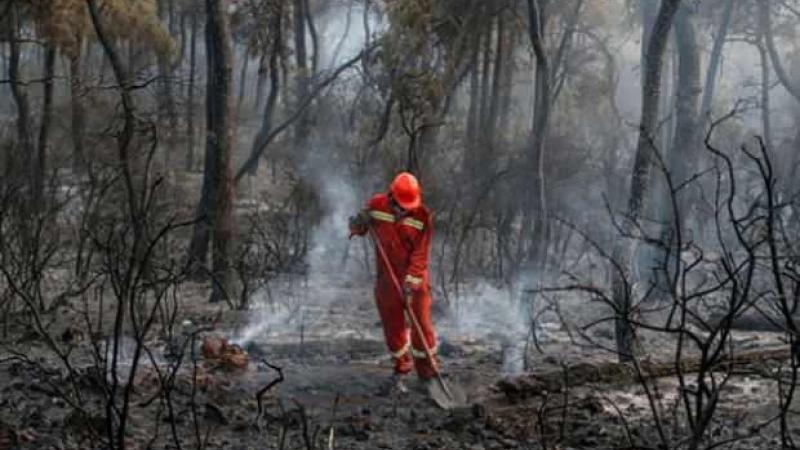 Heybeliada’da orman yangını çıkaran sanığa 12 yıl hapis cezası
