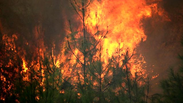 Kozan’daki orman yangınıyla ilgili üç kişi gözaltına alındı