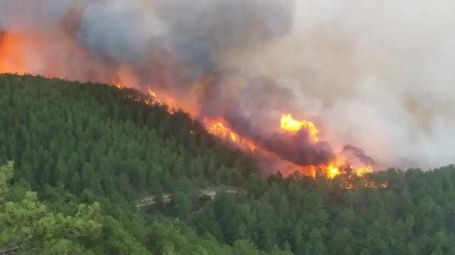 Kütahya'da akşam başlayan orman yangını devam ediyor