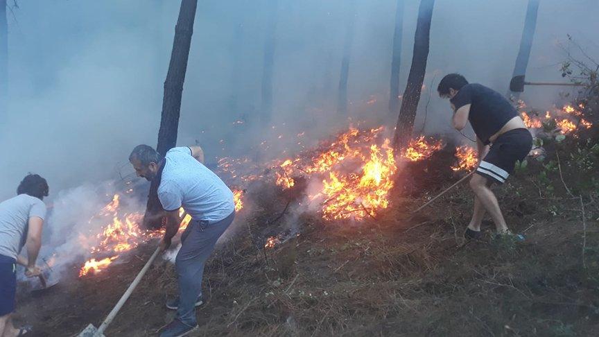 Maltepe Başıbüyük'te ormanlık alanda yangın