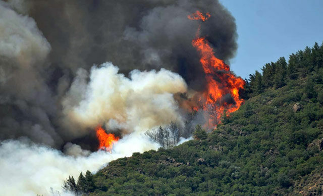 Marmaris'te de orman yangını çıktı