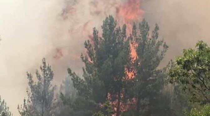 Mersin'deki orman yangını 3. gününde