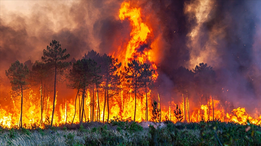 Muğla’daki orman yangını kontrol altına alındı: 50 hektar zarar gördü
