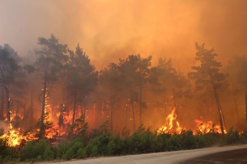 Orman yangınlarında 10. gün: 5 ildeki 12 yangına müdahale devam ediyor