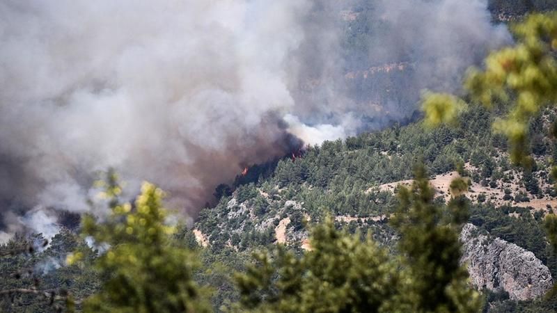 Pakdemirli: Hatay ve Mersin'deki orman yangınları kontrol altına alındı
