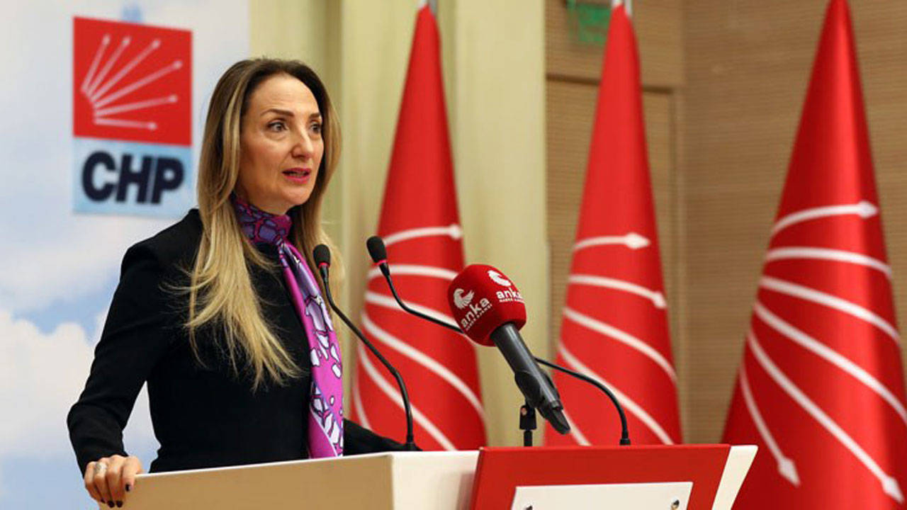 "Ben Cumhuriyet Kadınıyım" şiirini okuyan CHP'li Meclis üyesine hakaret eden MHP'li hakkında suç duyurusu