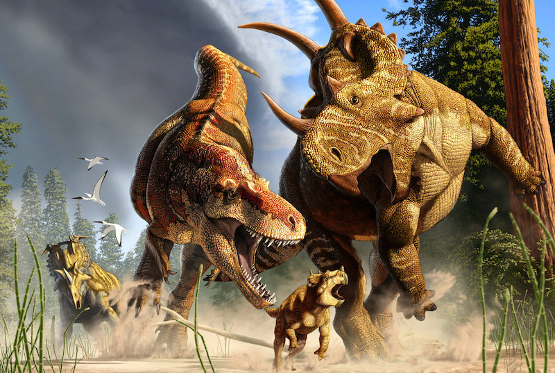 T. Rex’in uzun bacakları neden evrim geçirdi?