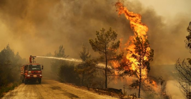 Tarım ve Orman Bakanlığı: 6 ilde 11 yangın devam ediyor