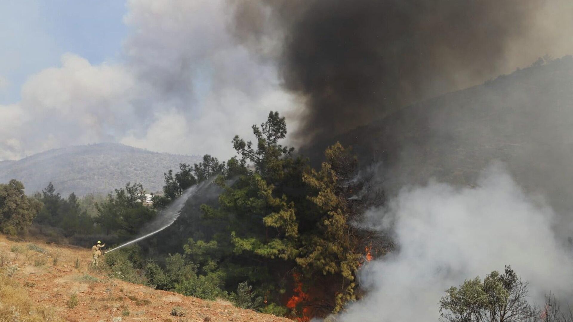 Tarım ve Orman Bakanlığı: Mersin’deki orman yangını kontrol altına alındı