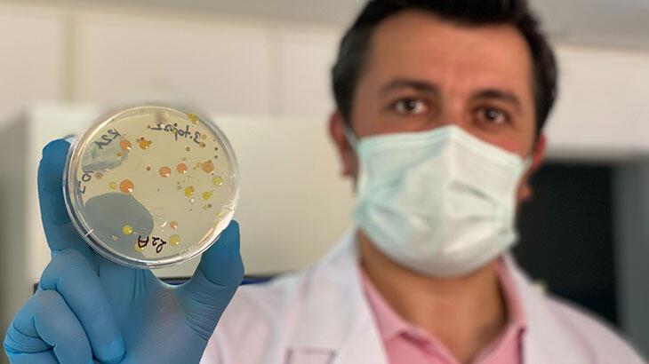Türk bilim adamları, 6 ülkede 60 yeni tür bakteri keşfetti