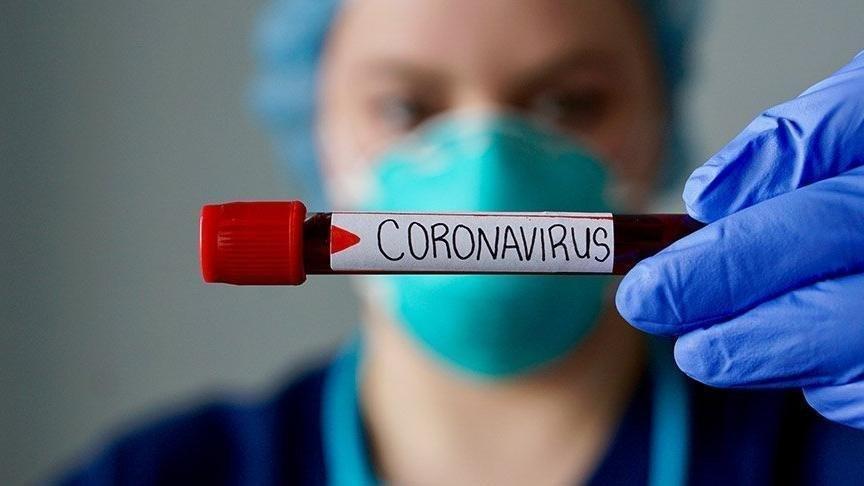 Türkiye'de koronavirüs: Son 24 saatte 2319 yeni hasta