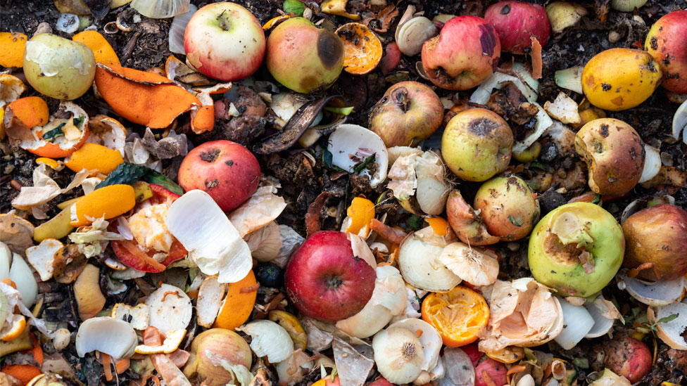 Yılda 19 milyon ton gıda çöpe gidiyor